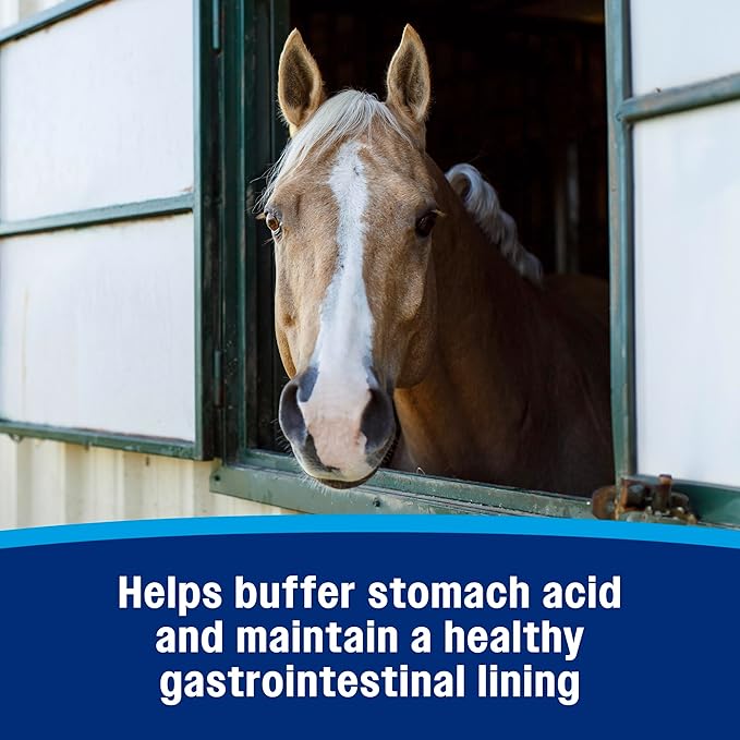 Farnam Gastric Health Pellets, Daily Gut and Digestive Health Supplement for Horses Helps Maintain a Healthy Gastrointestinal Tract and Gut Function