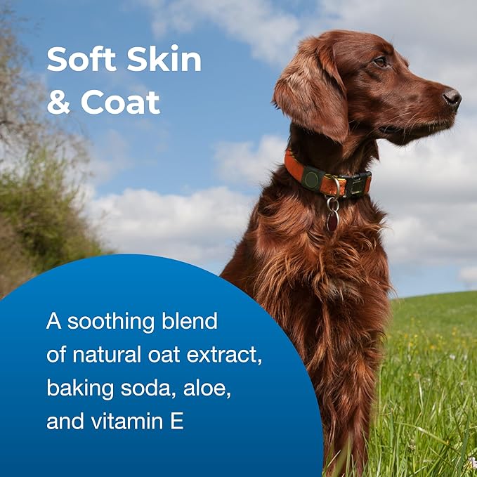 Pet-Ag Fresh ’n Clean Oatmeal ’n Baking Soda Conditioner, Tropical Breeze Scent (15:1 Concentrate) - 1 Gallon - Gently Cleans, Soothes & Deodorizes Dogs with Vitamin E & Aloe Vera - Soap Free