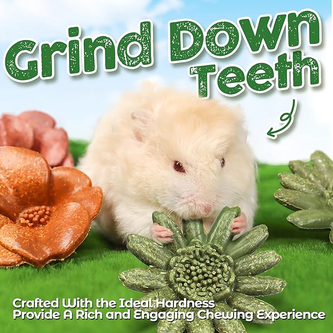 TEEWY 4PCS Guinea Pig Chew Toys, Prevent Teeth Overgrowth, Natural Vegetables and Timothy Grass, Hamster Chew Toys, Guinea Pig Toys, Chinchilla Toys, Grass Patch & Flowers