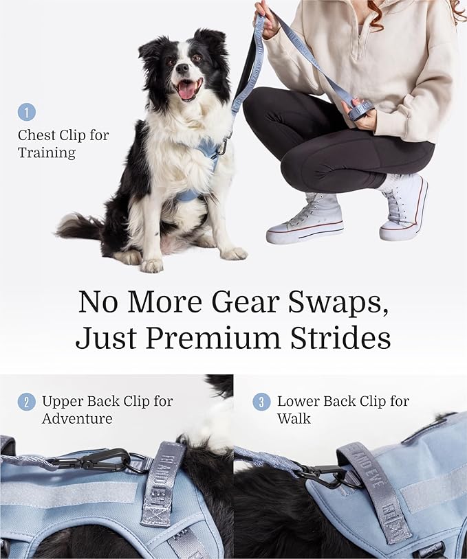 2025 New Edition, Fei & Eve MagEase Dog Harness - 3-Second Magnetic Buckles | 3-Point No-Pull Control | Heavy-Duty 900D Nylon | Dual Safety Handles | Breathable Mesh | Adjustable Fit | Medium, Blue