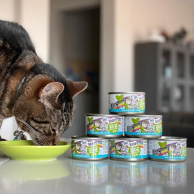 Weruva B.F.F. OMG - Best Feline Friend Oh My Gravy!, Selfie Cam! with Chicken & Lamb in Gravy Cat Food, 2.8oz Can (Pack of 12)