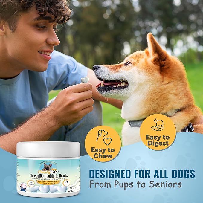 – Crunchy Probiotic Dog Treats with 4 Billion Cultures – Freeze-Dried Yogurt Hearts for Gut Health