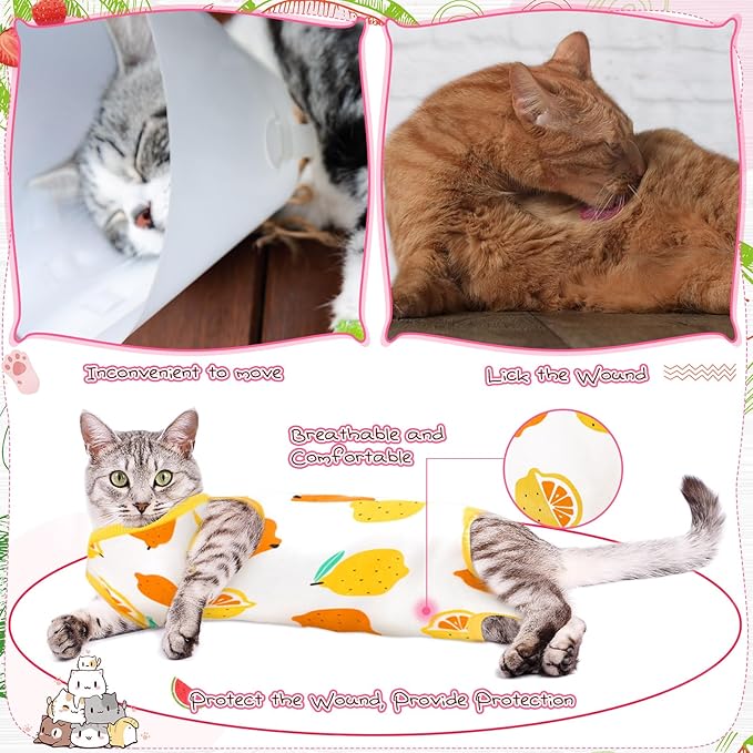 Nuanchu 3 Pieces Cat Recovery Suit Kitten Recovery Suit E-Collar Alternative for Cats and Dogs Abdominal Skin Anti Licking Pajama Clothes Sets(Fruit Pattern,Large)