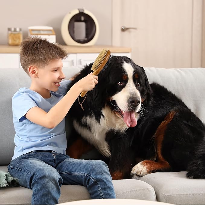 TAKAVU Short Hair Dog & Cat Deshedding Brush - Double Sided Grooming Tool with Silicone Massage & Bristle Sides - Removes Loose Fur & Dirt - Wood Handle
