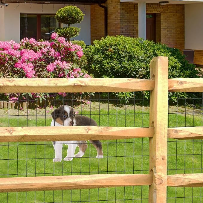 Black PVC Coated Welded Wire Fence 36 Inch x 50 Foot, 2 Inch x 3 Inch 16GA, Garden Border Fencing Roll Vinyl Coating Metal Wire Mesh for Yard Vegetable Plant Protection Poultry Netting