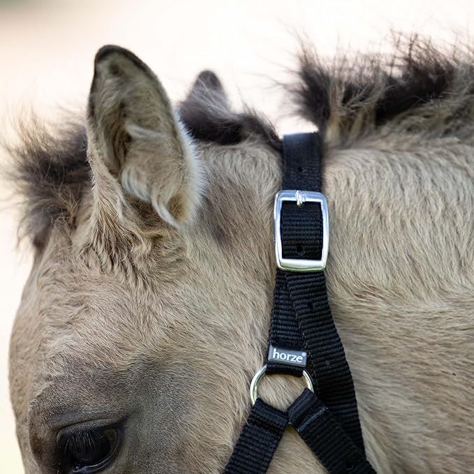 HORZE Adjustable Nylon Horse Halter for Foals, Colts, Fillies, Mini Horse Halter | Comfortable Small Horse Halter with Sturdy Buckles - Black - Foal