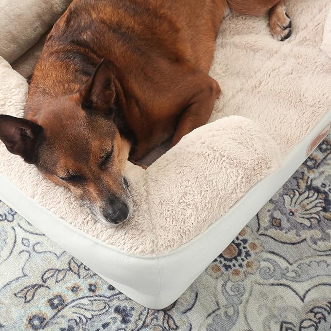 TOWN & COUNTRY EVERYDAY CuddleTown Comfy Solid Bolster Sofa Pet Bed, Supportive & Calming Egg Crate Foam, Non-Slip Bottom, Machine Washable Cover, Cream, Medium 28"x23"x8"