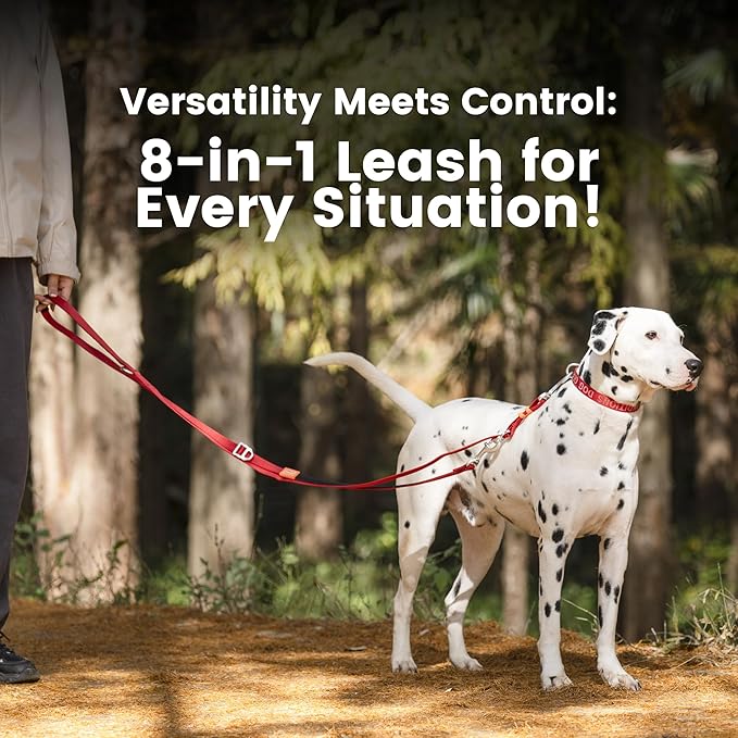 HOWGO 8-in-1 Multifunctional Hands Free Dog Training Leash with Padded Handle, 8.5 FT Nylon Adjustable Length, Lightweight Aviation Aluminum, Crossbody Waist Leash for Puppy Medium Large Dogs (Red)
