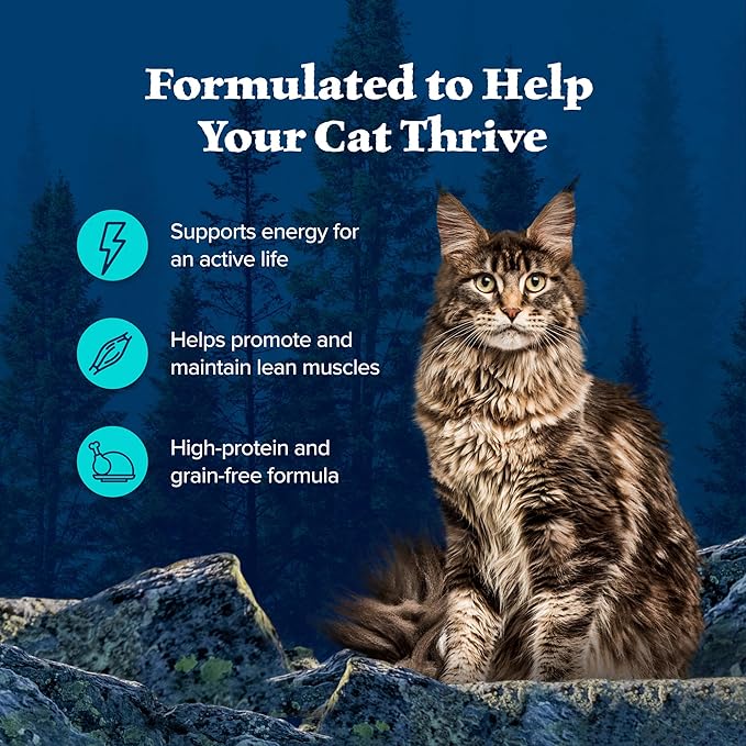 Blue Buffalo Wilderness Wild Delights Meaty Morsels Wet Cat Food, High-Protein & Grain-Free, Made with Natural Ingredients, Chicken & Trout Recipe in Tasty Gravy, 3-oz. Cans (24 Count)