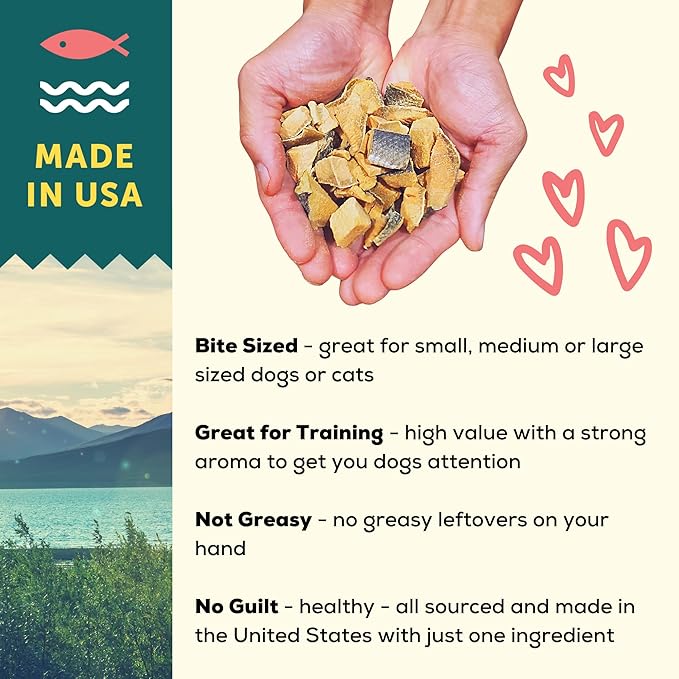 A Better Treat – Freeze Dried Organic Pumpkin, Wild Caught Salmon, Organic Grass Fed & Finished Pasture Raised Beef, Organic Chicken Dog and Cat Treats | Healthy, Diabetic Friendly | Made in The USA