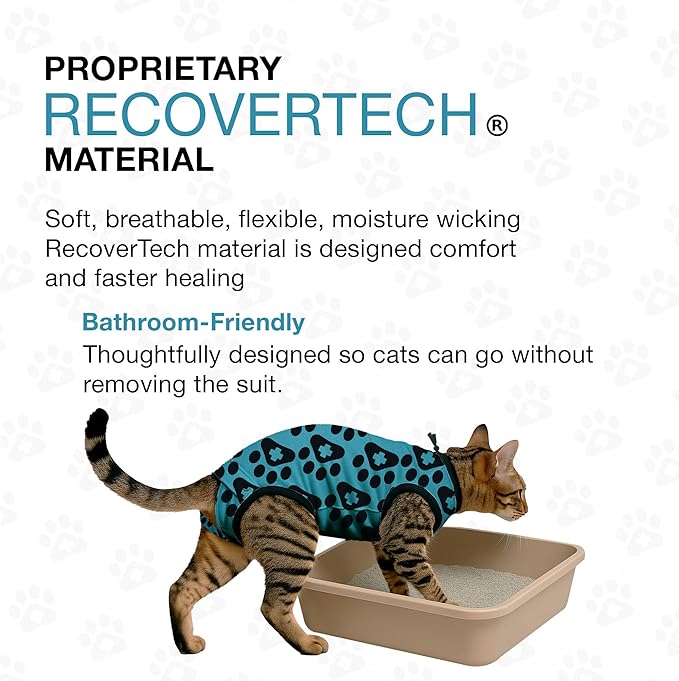 Bellyguard Cat Recovery Suit Female and Male, Comfy Onesie After Surgery, Kitten Clothes for Post-Op Care, Neuter and Spay Healing Outfits for Cats Only – Comfortable Kitten and Adult Cone Alternative