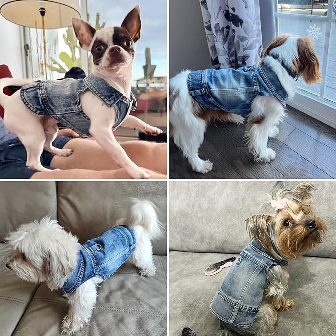 Puppy Clothes for Small Dogs Boy,Classic Western Denim Dog Coat,Dog Jeans Jacket with Leash D-Ring,Pet Cat Costumes,Cooling Harness Vest for Walking (Blue, Medium)