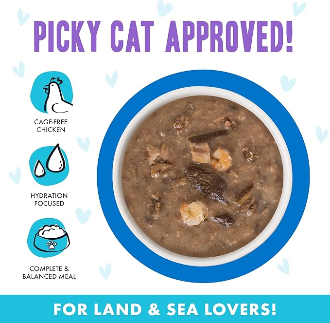 Weruva B.F.F. OMG - Best Feline Friend Oh My Gravy!, Ciao Baby! with Chicken & Shrimp in Gravy Cat Food, 2.8oz Pouch (Pack of 12)