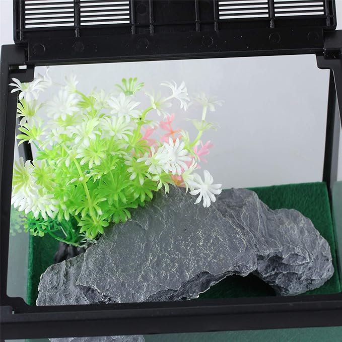 crapelles Glass Lizard Tank, Spider Box Kit, 7.8x7.8x5.9'' Tarantula Feeder Insects Beetle Habitat, Amphibians Terrarium for Small Pet, with Washable Mat, Resin Rock Shape Hideout, Artificial Flower