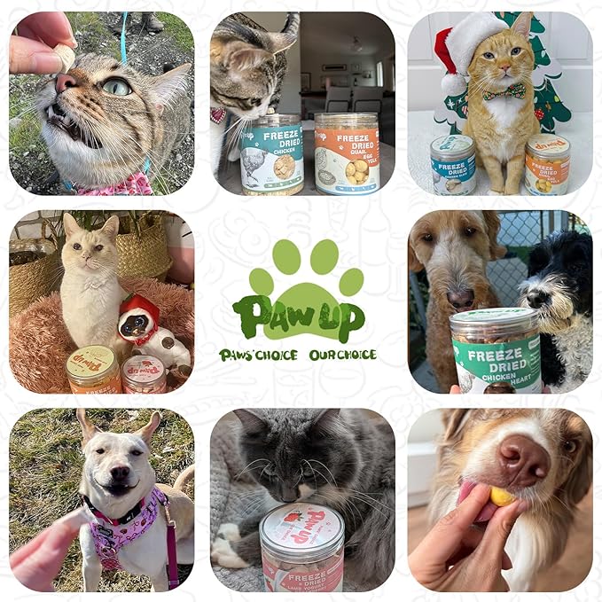 Freeze Dried Cat Treats, Raw Chicken Food for Dogs Cats, Single Ingredient, High Protein Natural Healthy Topper, 3.8 oz