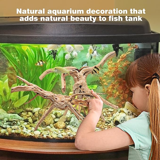 WDEFUN Natural Spiderwood for Aquarium Decor 2-Piece 11''-14'' Long Natural Driftwood Branches for Fish Tank Decorations
