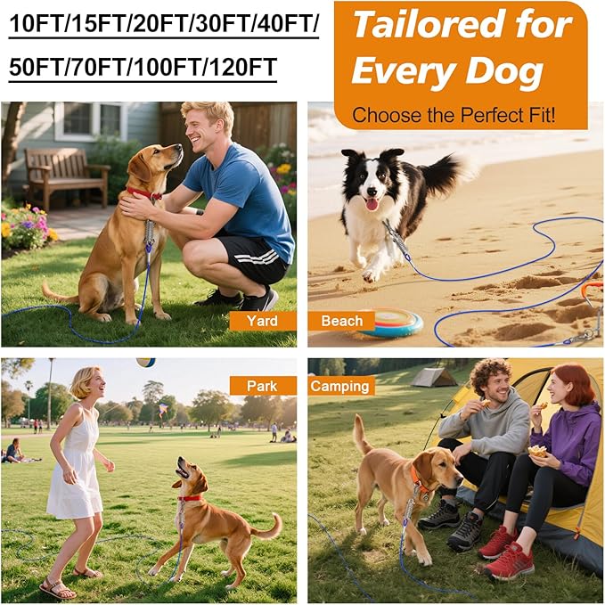 Tresbro 30 FT Dog Tie Out Cable with Spring, Shock Absorbing Tether Chains for Outside Aavilable in 10/15/20/25/30/40/50/70/100/120 FT, Heavy Duty Leads for Yard for Medium & Large Dogs Up to 500 LBS