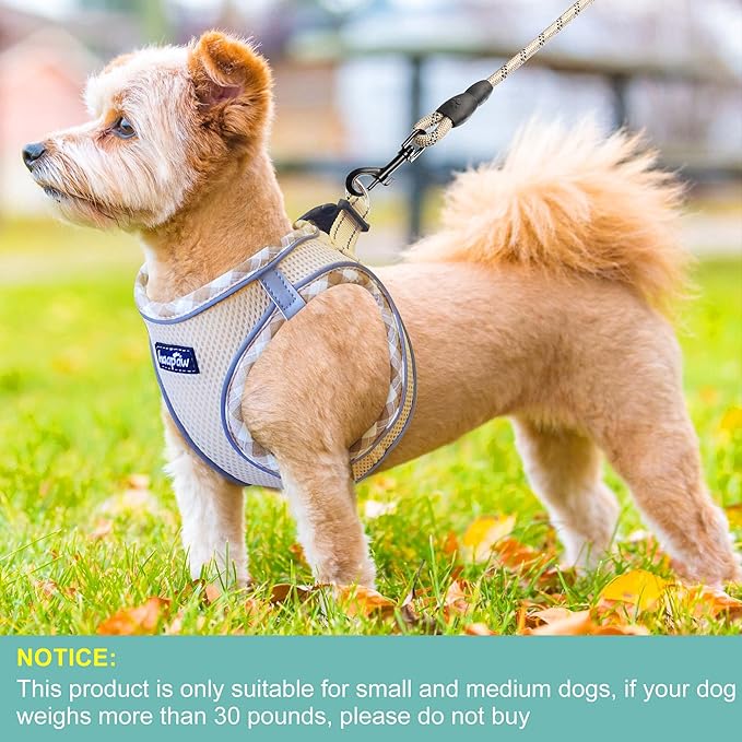 haapaw Dog Harness with Leash Set, No Pull Adjustable Reflective Step-in Puppy Harness with Thickened Padded Vest for Extra-Small/Small Medium Dogs
