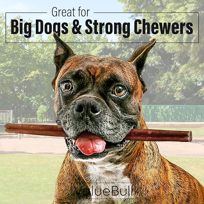 ValueBull Bully Sticks for Dogs, Thick 12 Inch, 100 Count - All Natural, Grass Fed, Single Ingredient, Long Lasting Dog Treats
