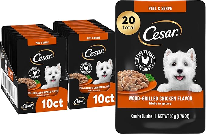 Cesar Filets in Gravy Wet Dog Food Wood-Grilled Chicken Flavor, 1.76 oz. Mini-Pouch (20 Count, Pack of 1)