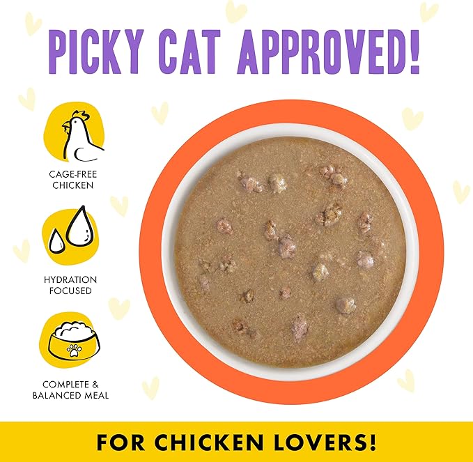 Weruva B.F.F. OMG - Best Feline Friend Oh My Gravy!, Chicken & Salmon Shine Bright with Chicken & Salmon in Gravy, 2.8oz Pouch (Pack of 12)
