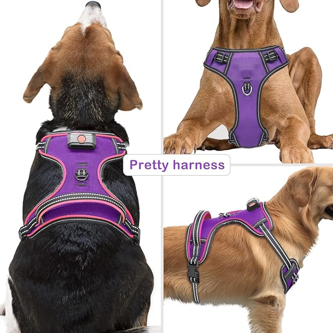 Light Up Dog Harness, No Pull LED Dog Harness with Handle, Rechargeable Lighted Safety Vest for Small Medium Large Dogs, Adjustable Soft Dog Lights for Night Walking