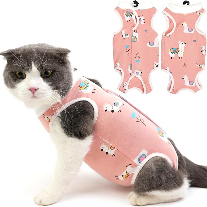 Cat Recovery Suit for Spay Abdominal Wounds, Breathable Cat Onesie for Cats After Surgery Female, Kitten Surgical Recovery Suit Female Cone of Shame Alternative for Cats Anti Licking