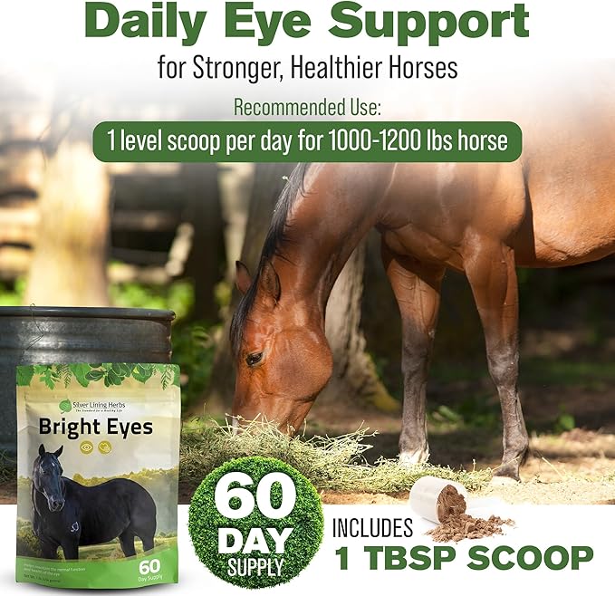 Silver Lining Herbs Bright Eyes Vitamins - Horses Eye Supplements to Support Capillary Health, Great Vision, & Overall Eye Health - Plant-Based Herbal Horse Supplements - 1 lb 60-Day Supply