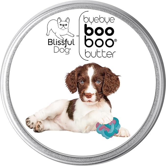 The Blissful Dog Springer Boo Boo Butter, 16 oz.