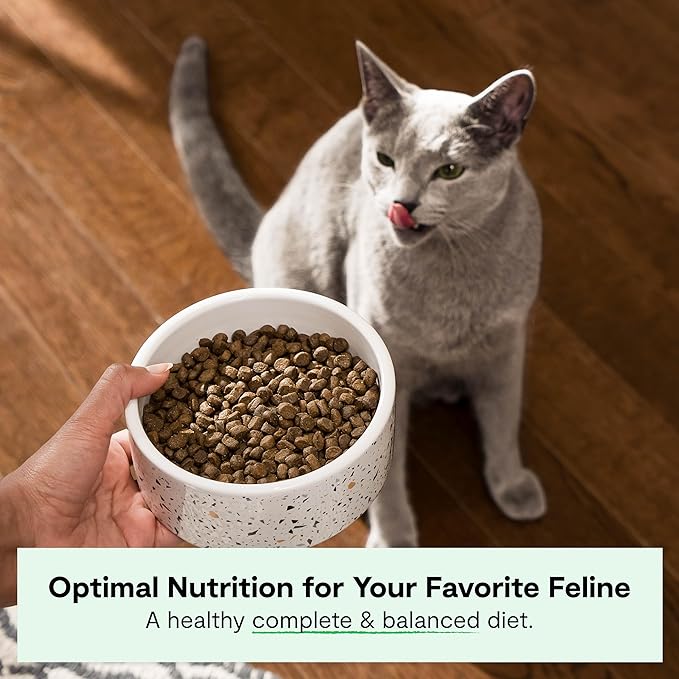 Open Farm, Grain Free Dry Cat Food, High-Protein Kibble for a Complete & Balanced Diet, Non-GMO Fruits & Vegetables, Prebiotic Fibers to Support Digestion, Homestead Turkey & Chicken Recipe, 8lb Bag