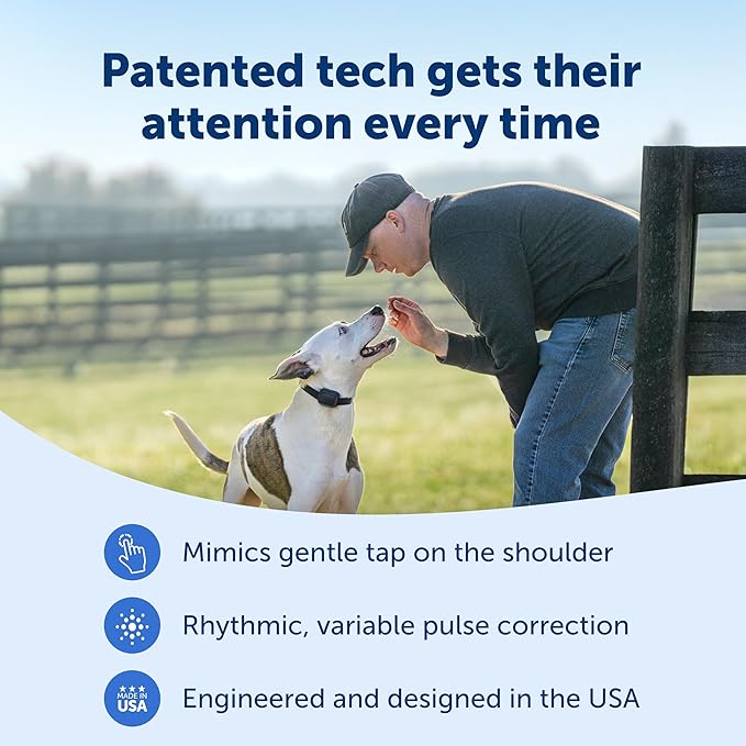 PetSafe Core Remote Trainer Add-A-Dog Collar – Extra Collar for Dog Training Collar with Remote – Waterproof – Tone, Vibration and 15 Levels of Static – Built-in LED Light