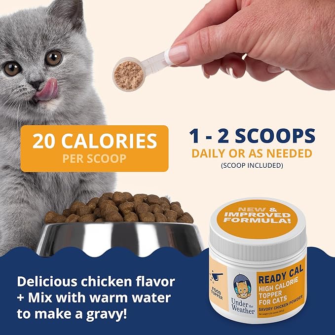 Under the Weather Ready Cal Powder for Cats | High-Calorie Weight Gainer & Appetite Stimulant | Cat Energy Booster Veterinarian-Approved Pet Supplement with Vitamins & Minerals | Chicken Flavor