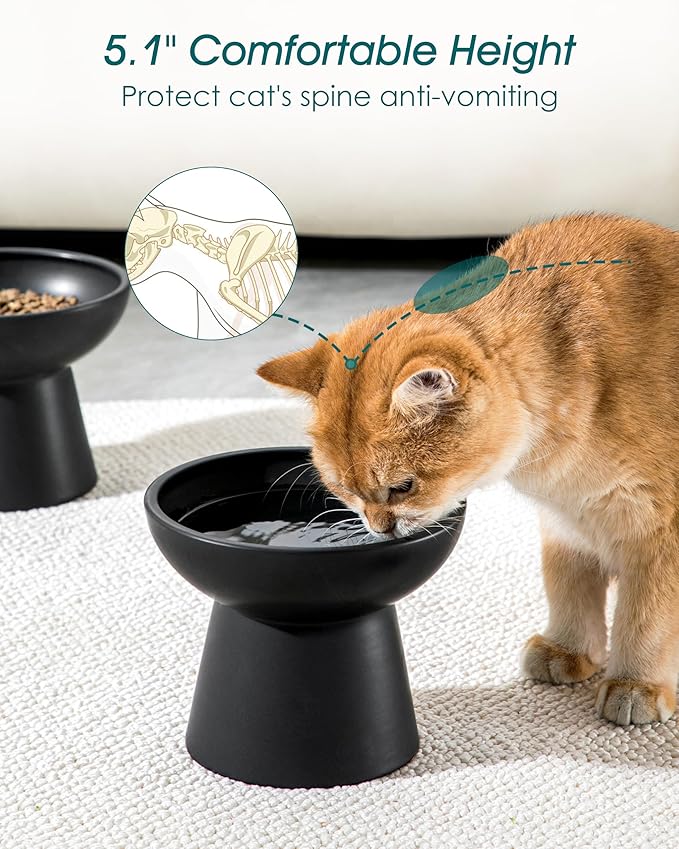 vancasso Ceramic Elevated Cat Bowls 2-Pack - 6.2" Extra Wide Raised Cat Food & Water Dishes, 5.1" Optimal Height Anti-Whisker Fatigue Shallow Bowls for Cats/Kittens/Dogs, Lead & Cadmium Free (Black)