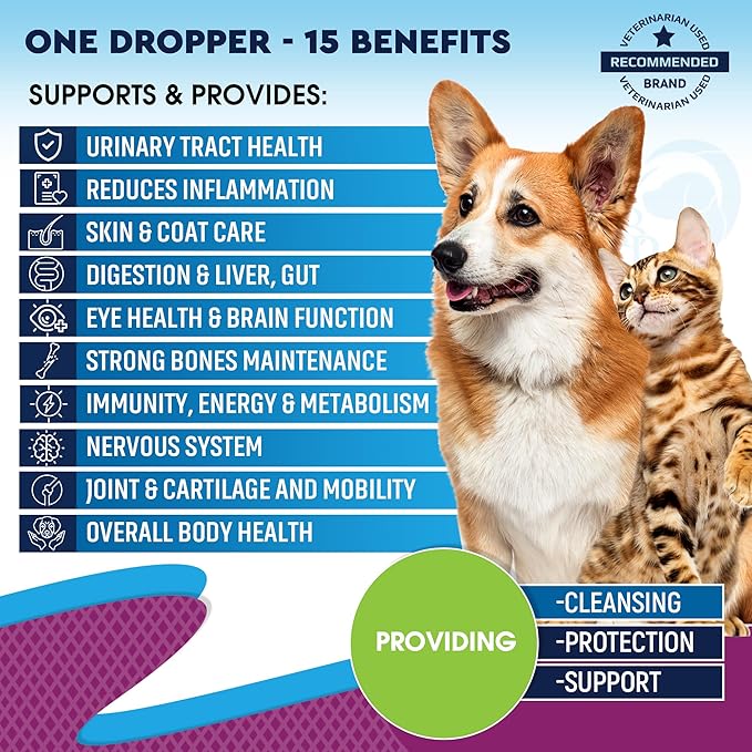 Cat & Dog Multivitamin Liquid with Glucosamine & Cranberry | 15 in 1 Health Supplements for Urinary Tract Kidney, Bladder, Hip & Joint, Skin & Coat | Natural UTI Medicine Made in USA (60 ml)