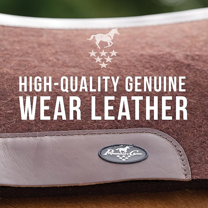 Professional's Choice 100% Steam-Pressed Wool Felt Saddle pad