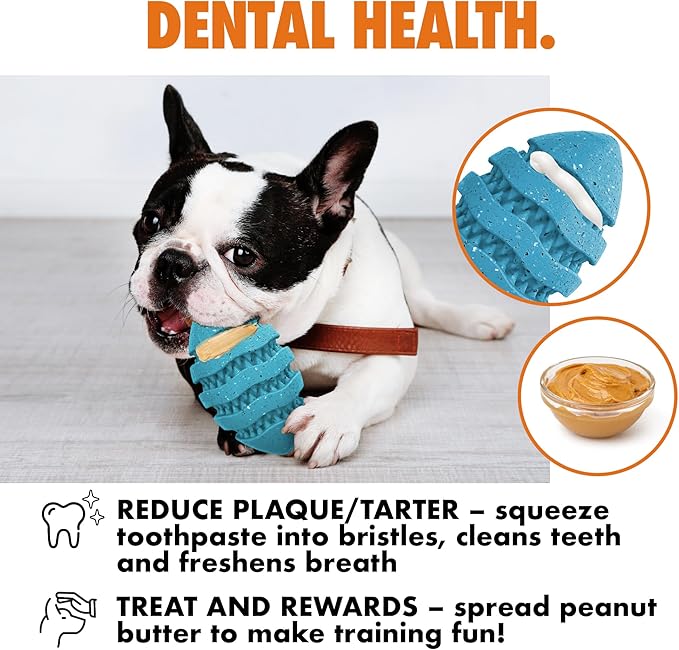 Max Fusion with Nike Grind, Arlee Spiro Football Treat Dispensing Dog Toy, Durable Dog Treat Toy, M