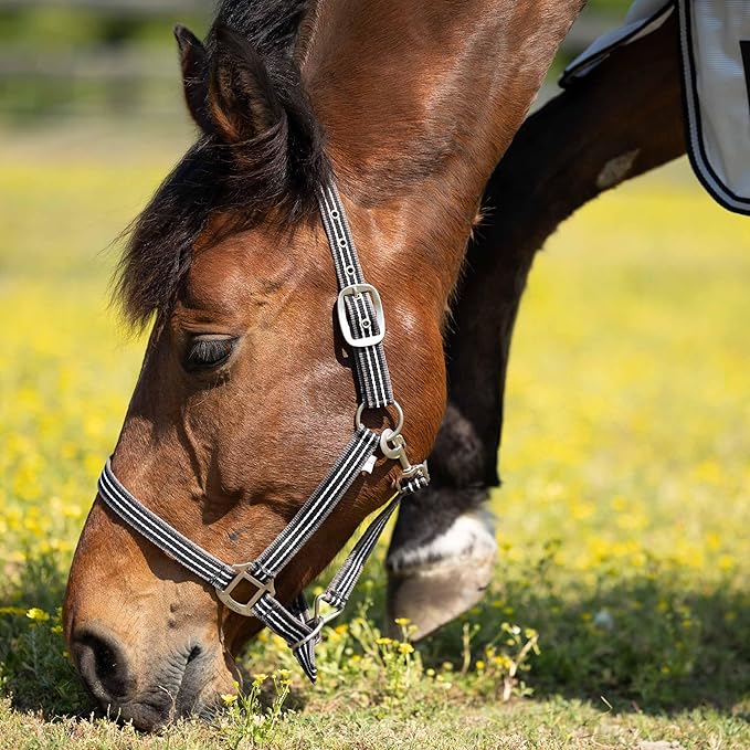 HORZE Adepto Adjustable Horse Halter | Soft, Durable Polyester - Dark Navy - Warmblood