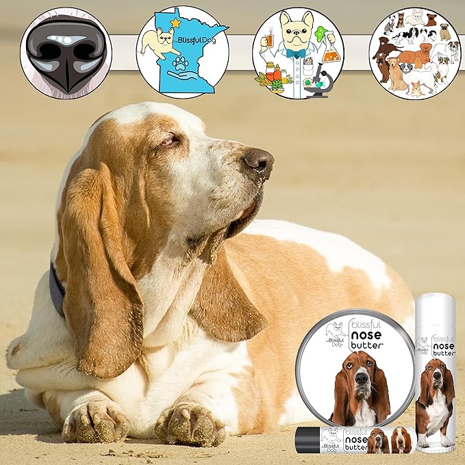 The Blissful Dog Basset Hound Nose Butter for Dry, Cracked Skin, Lick-Safe Dog Nose Balm with Moisturizing Shea Butter, Almond, Olive, and Essential Oils, Pet Supplies, Uncented, 2 oz.