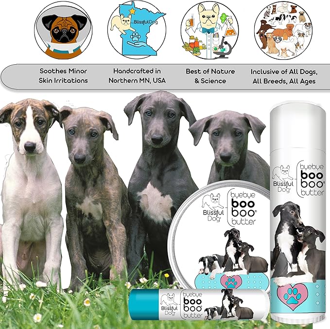 The Blissful Dog Greyhound Boo Boo Butter, 0.50-Ounce
