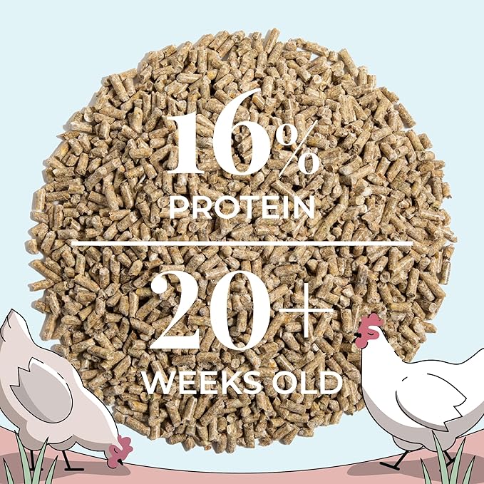 Organic Chicken Feed – Layer Pellet, Non-GMO, USA Grown, 16% Protein, Corn-Free, Soy-Free, Non-Medicated Feed for Chickens, 46 lbs