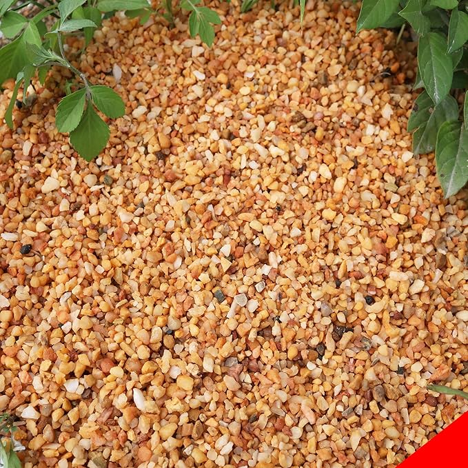18lb Cactus Pea Gravel Rocks,1/5 Inch Pebbles for Indoor Plants, Natural Succulent Rock and River Rocks Decorative for Aquariums, Vases, Terrarium, Outdoor Gardening, Top Dressing for Potted Plants