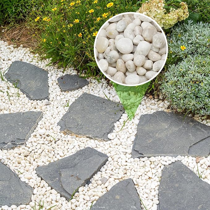 Mr. Fireglass 10lb White River Rocks, 3/8 inch Natural Decorative Polished Pebbles Aquarium Gravel Stones for Landscaping, Indoor Plants, Vase, Succulent, Fish Tank