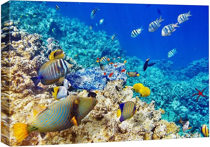 wall26 Canvas Print Wall Art Underwater Neon Blue Teal Ocean Water Fish Nature Animals Photography Realism Rustic Scenic Landscape Wilderness Earth for Living Room, Bedroom, Office - 12"x18"