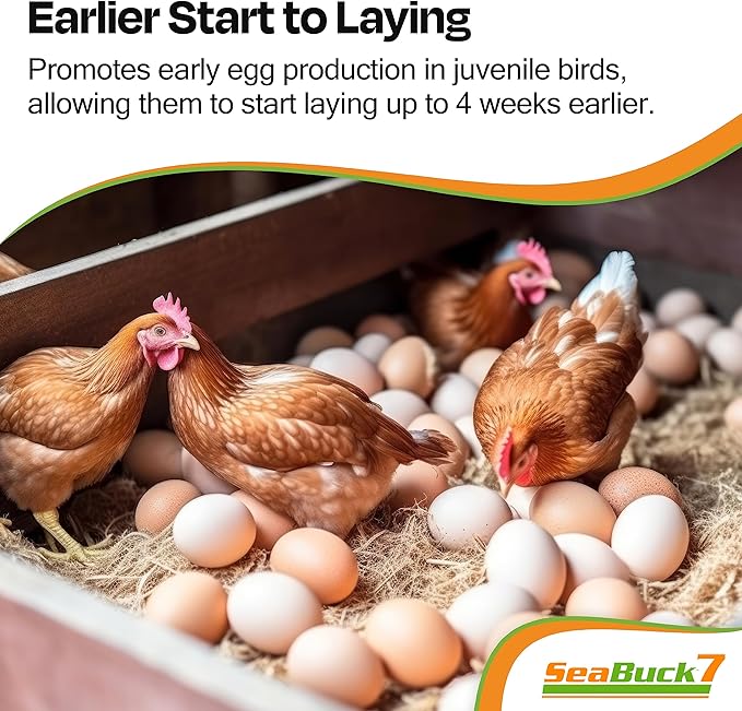 SeaBuck 7 Chicken & Bird Supplement with Sea Buckthorn to Improve Egg Quality (1-Month Supply for 20 Chickens) – Earlier Laying, Egg Production Booster & Higher Quality Eggs