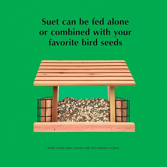 C&S Sunflower Suet Nuggets, Suet Nuggets for Wild Birds, 8 Lbs