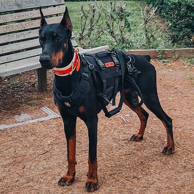 OneTigris Dog Lift Harness for Large Dogs, Dog Hip Support Brace, Full Body Lifter with Handles Invictus Multifunctional Mobility Assistance Vest for Back Legs (Black, Large)