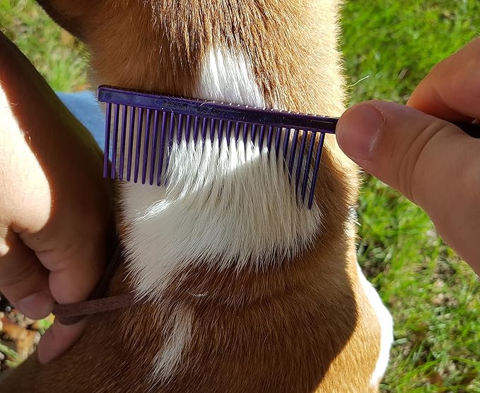 Resco Professional Anti-Static Dog, Cat, Pet Comb for Grooming, Steel Pins, Fine Tooth Spacing, Candy Blue