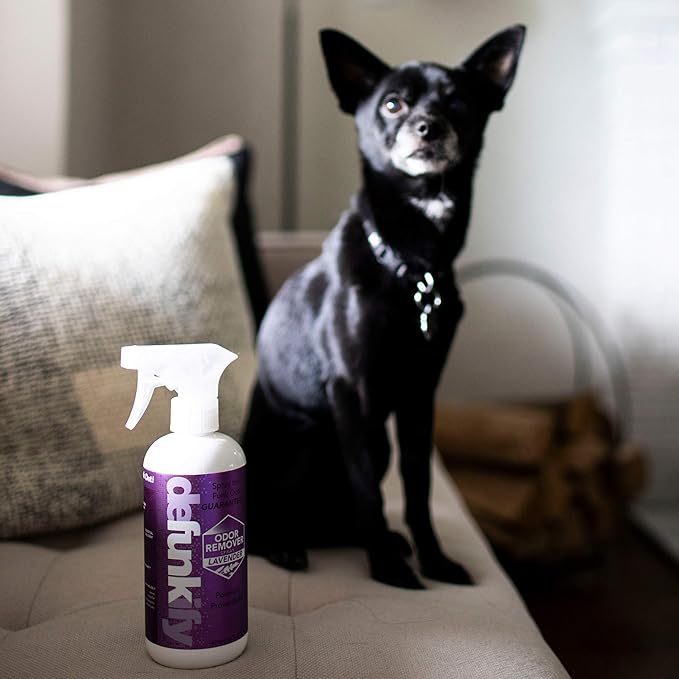 Odor Remover Spray, 16oz (2-Pack). 'Lavender' Essential Oil Odor Eliminator for Strong Odors on Fabric, Shoes, Activewear. 'ProvenSafe' Deodorizer for Pets, Kids & Sensitive Gear w/Ionic Silver