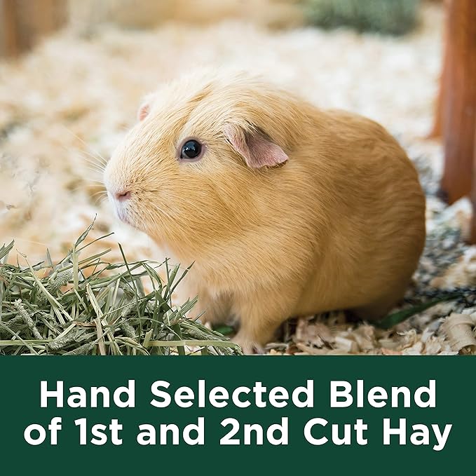 Kaytee Timothy Hay Plus Spearmint/Marigold/Carrot 3 Flavor Variety Pack for Pet Guinea Pigs, Rabbits & Other Small Animals, 60 Ounce (Pack of 1)