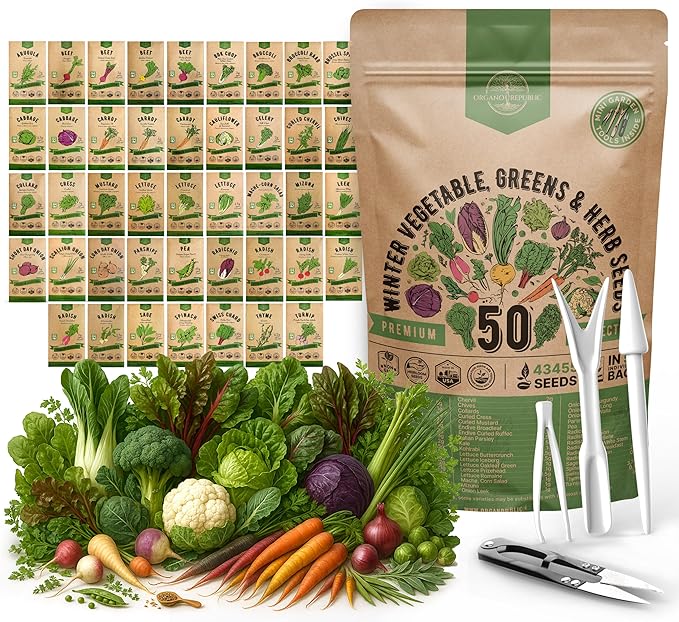 50 Winter Vegetable Garden Seeds Variety Pack - 43,450+ Non-GMO Heirloom Seeds for Outdoors & Indoor Home Gardening, Including Kohlrabi, Lettuce, Radish, Onion, Choy, Spinach, Cauliflower, Collards